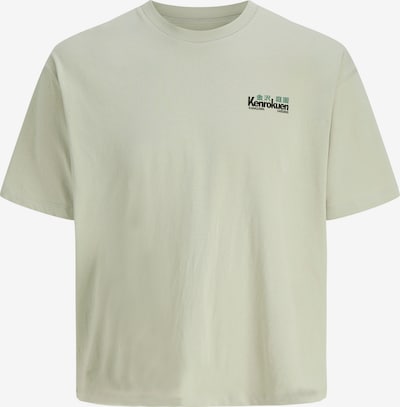 JACK & JONES Paita 'JORKen' koossa XS värissä vihreä / pastellinvihreä / musta / valkoinen, Tuotenäkymä