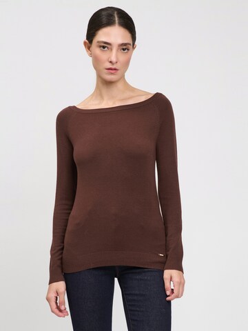 Influencer Sweater in Brown: front