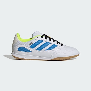 Chaussure de sport 'Super Sala Competition III' ADIDAS PERFORMANCE en blanc