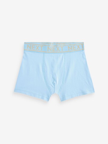 Next - Calzoncillo en azul