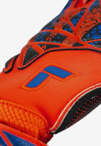 REUSCH Athletic Gloves 'Attrakt Gold X Evolution GluePrint' in Orange