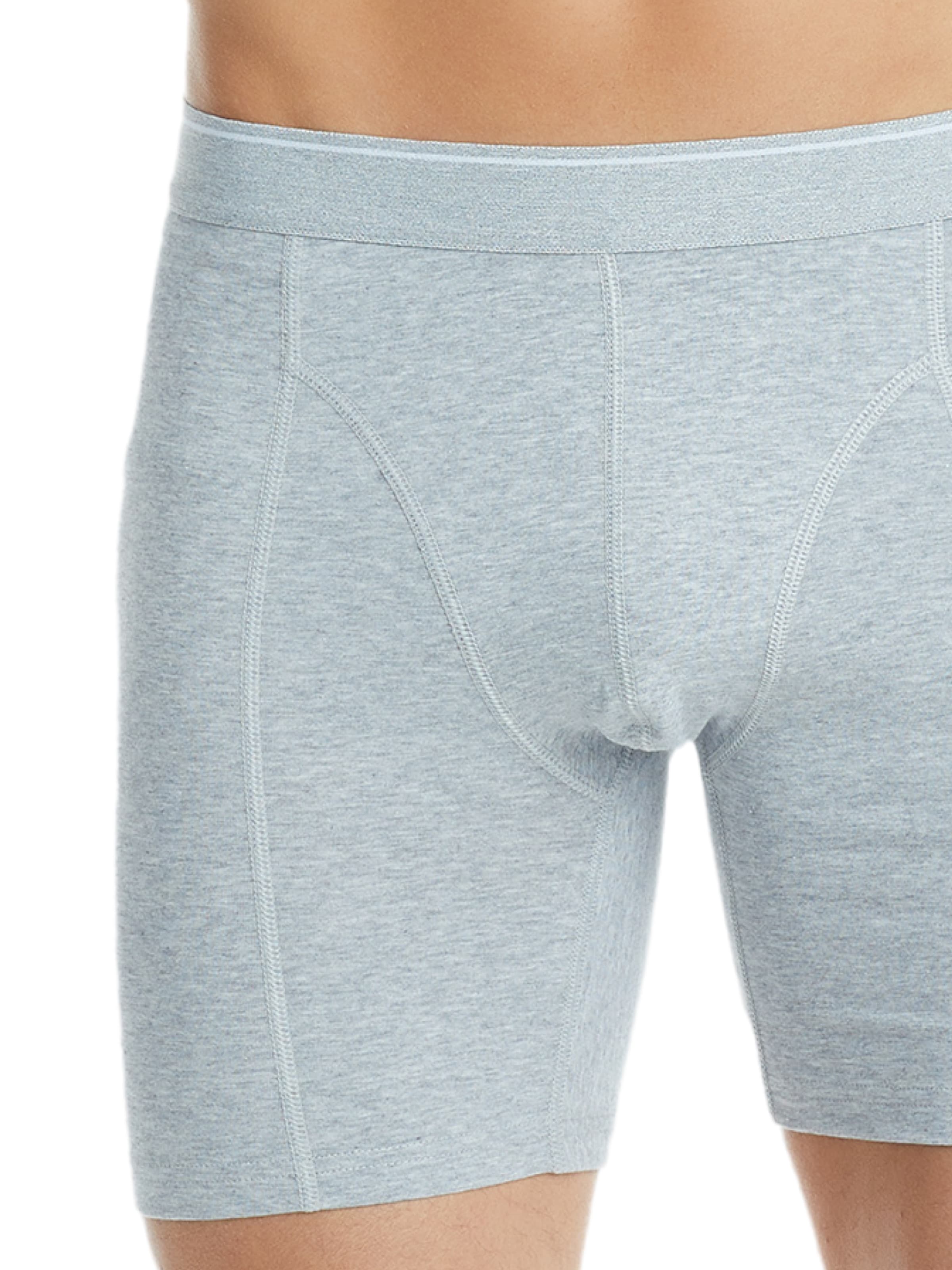 Blackspade Boxer shorts in Grey