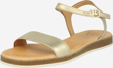 Apple of Eden Sandalen met riem 'ISA' in Goud: voorkant