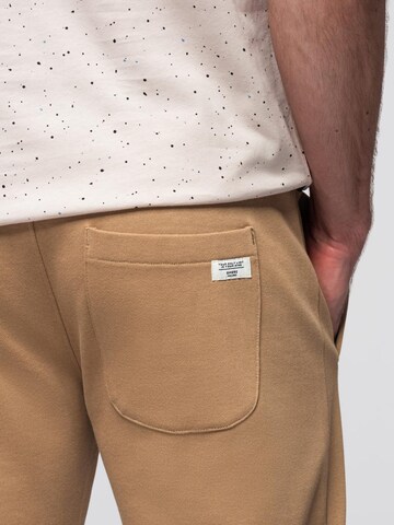 regular Pantaloni sportivi di Ombre in marrone