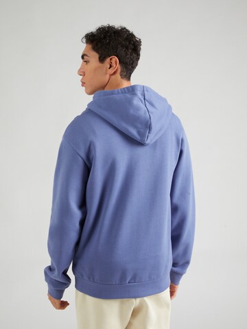 Iriedaily Zip-Up Hoodie in Blue