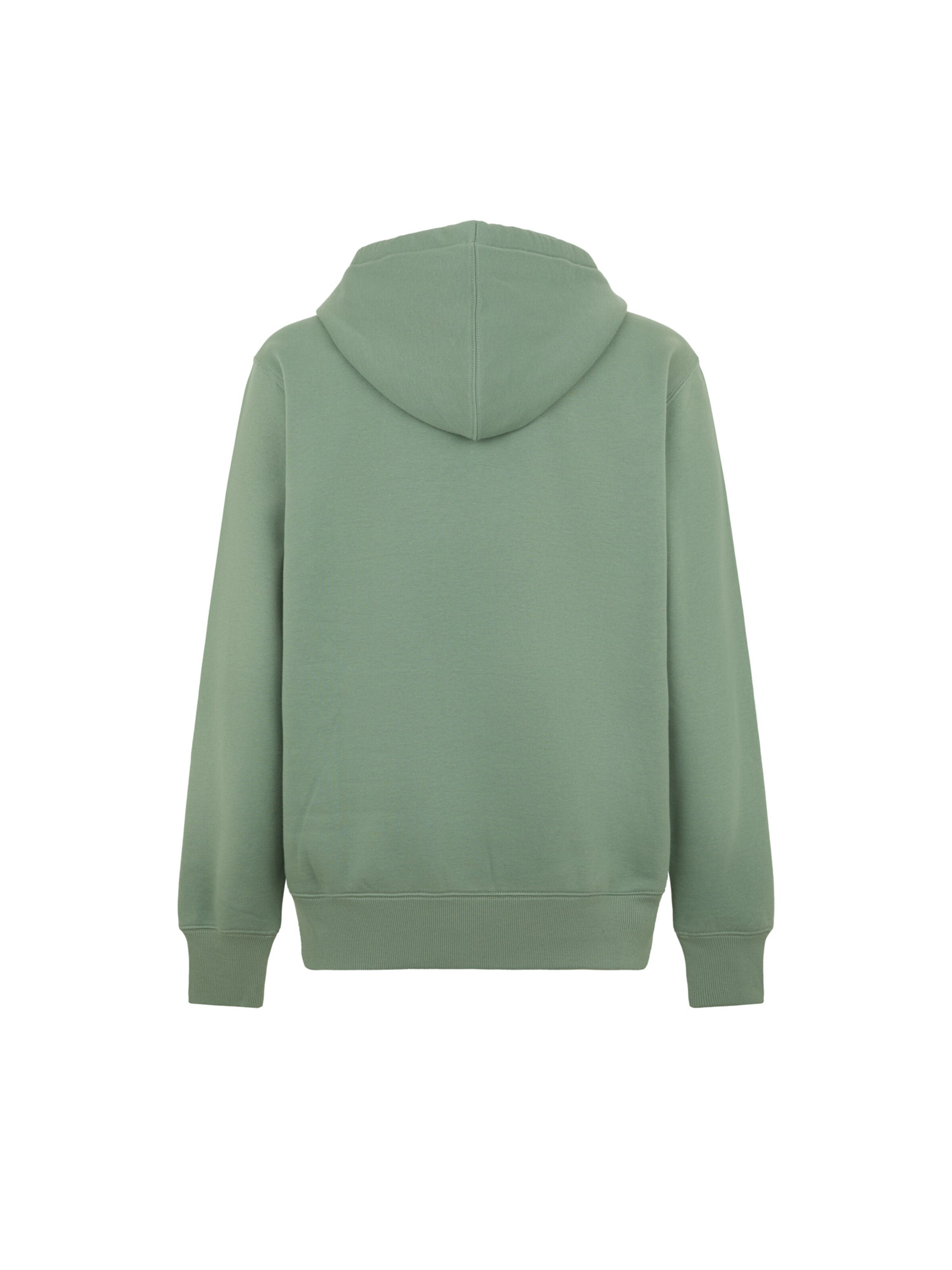 DICKIES Свитшот 'Summerdale' в Зеленый