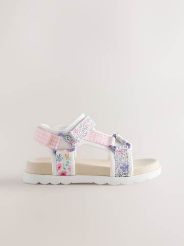 Next - Sandalias en Mezcla de colores