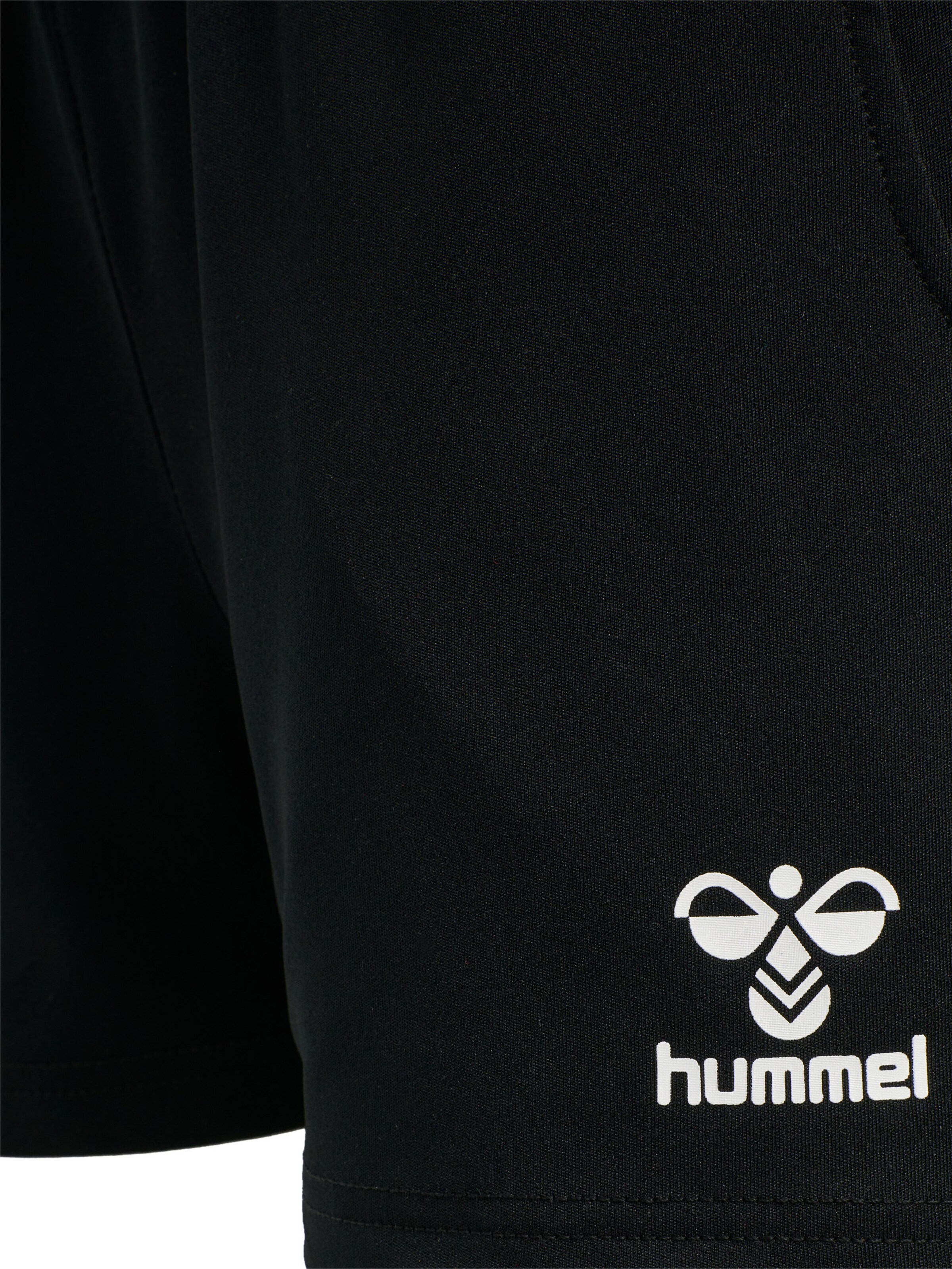 Hummel Regular Sportbroek 'Referee Chevron' in Zwart