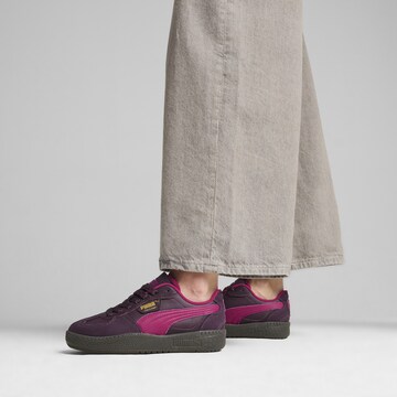 PUMA Sneaker 'Palermo Moda' in Lila