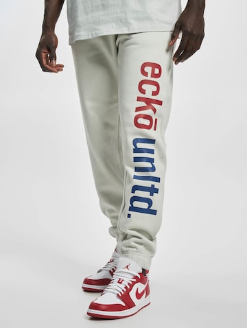Tapered Pantaloni 'Grande' di Ecko Unlimited in grigio: frontale