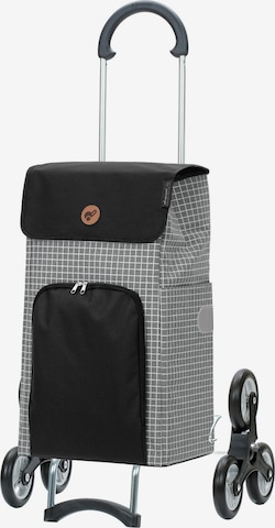 Andersen Shopper Trolley 'Hildy' in Grijs: voorkant