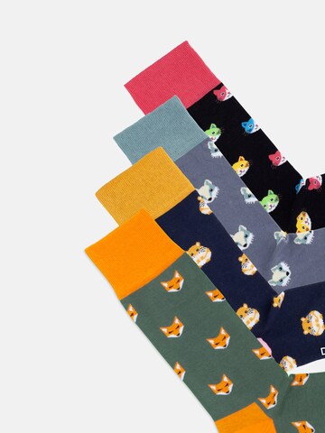 DillySocks Socken in Mischfarben