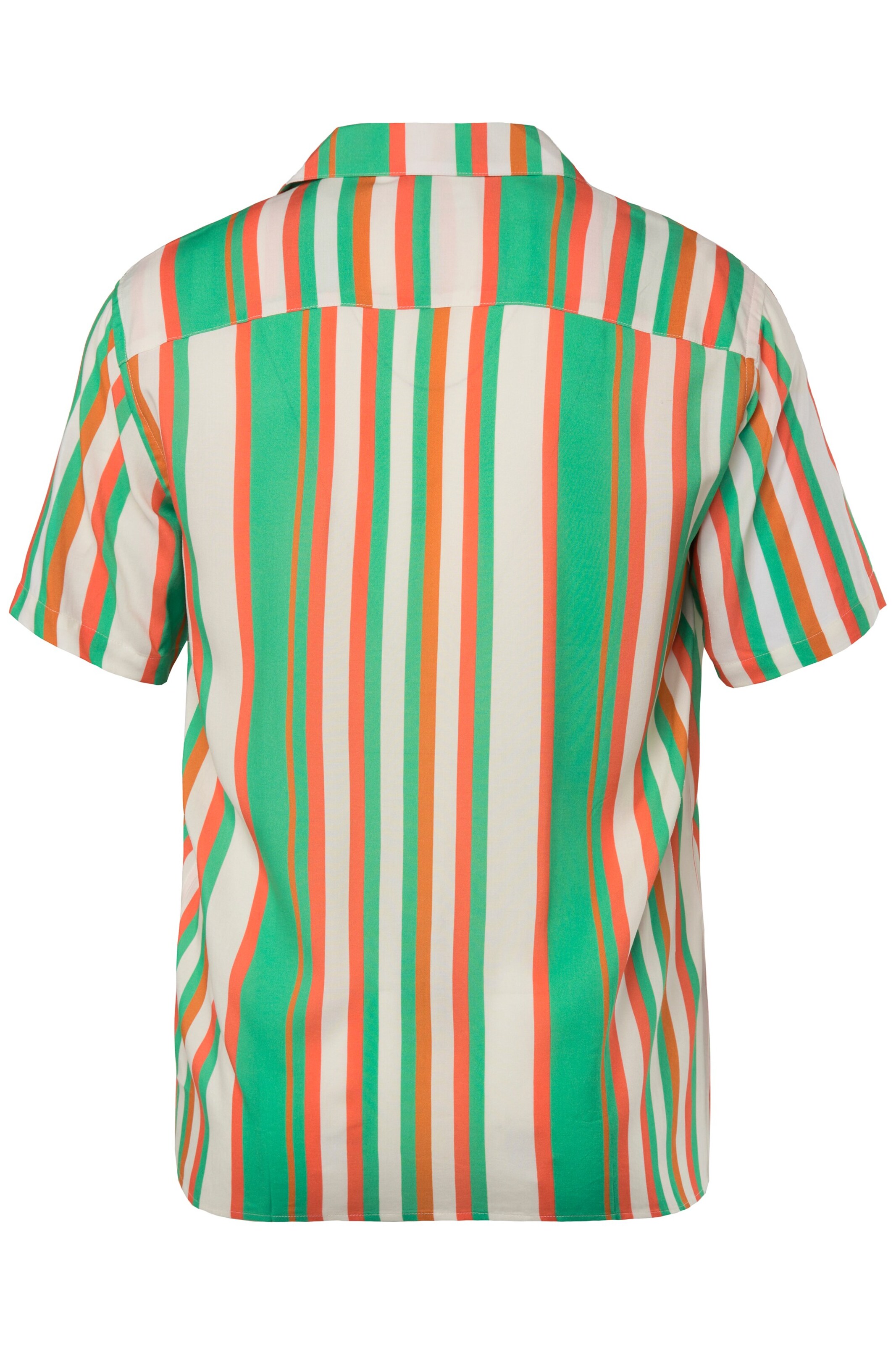 Men Plus Regular Fit Hemd in Mischfarben