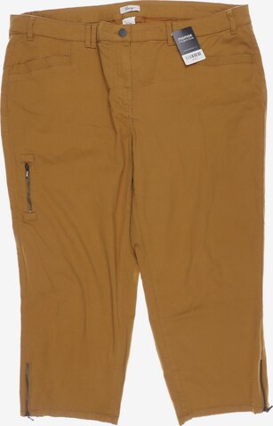 SHEEGO Pants in 6XL in Brown: front