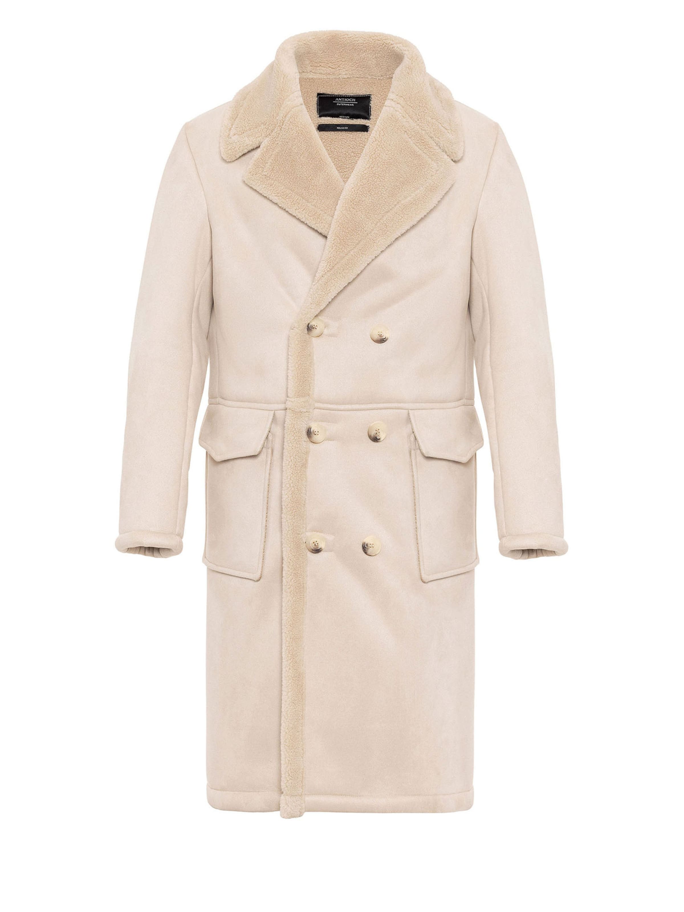 Antioch Winter coat in Beige: front