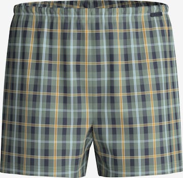 Boxer 'Daywear Xtra' di CALIDA in grigio: frontale