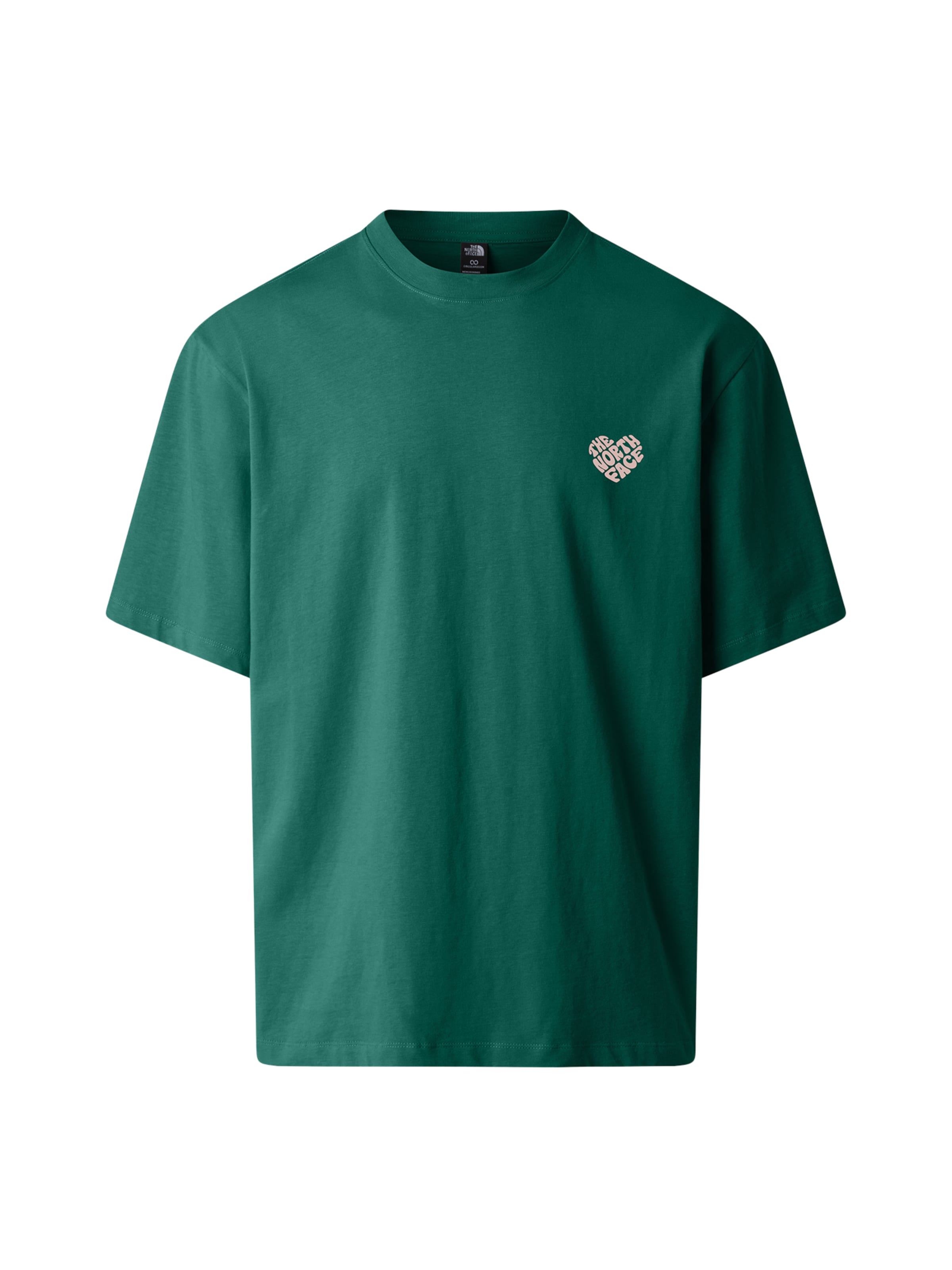THE NORTH FACE T-shirt 'Brand Proud' i grön: framsida