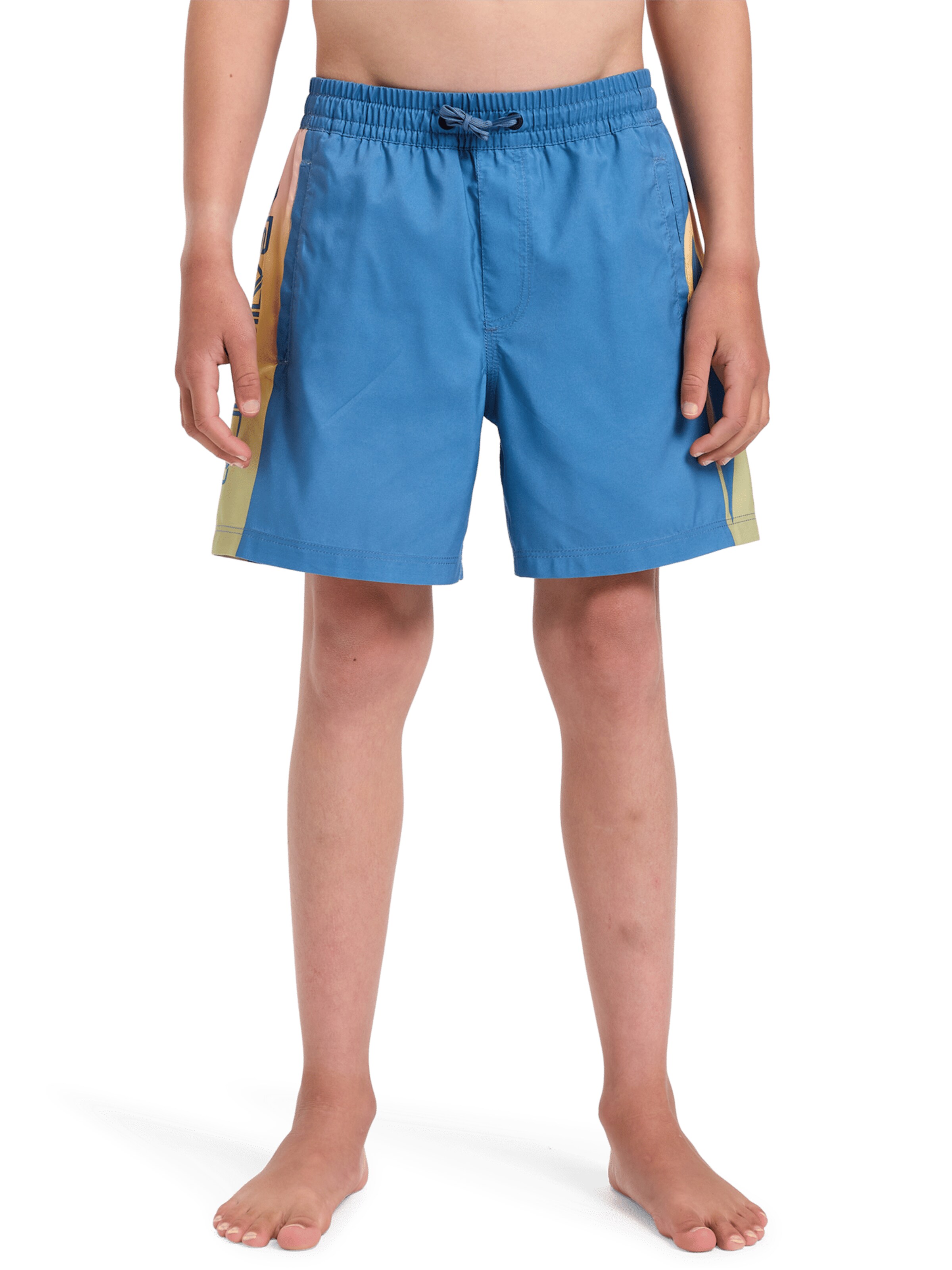 QUIKSILVER Sportieve badmode 'Everyday Holmes 14' in Blauw: voorkant