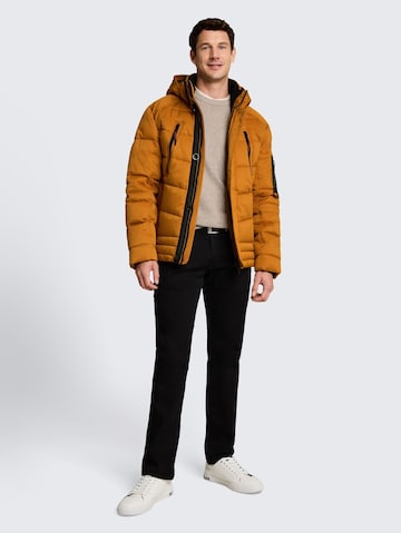 TOM TAILOR Winter jacket in Brown