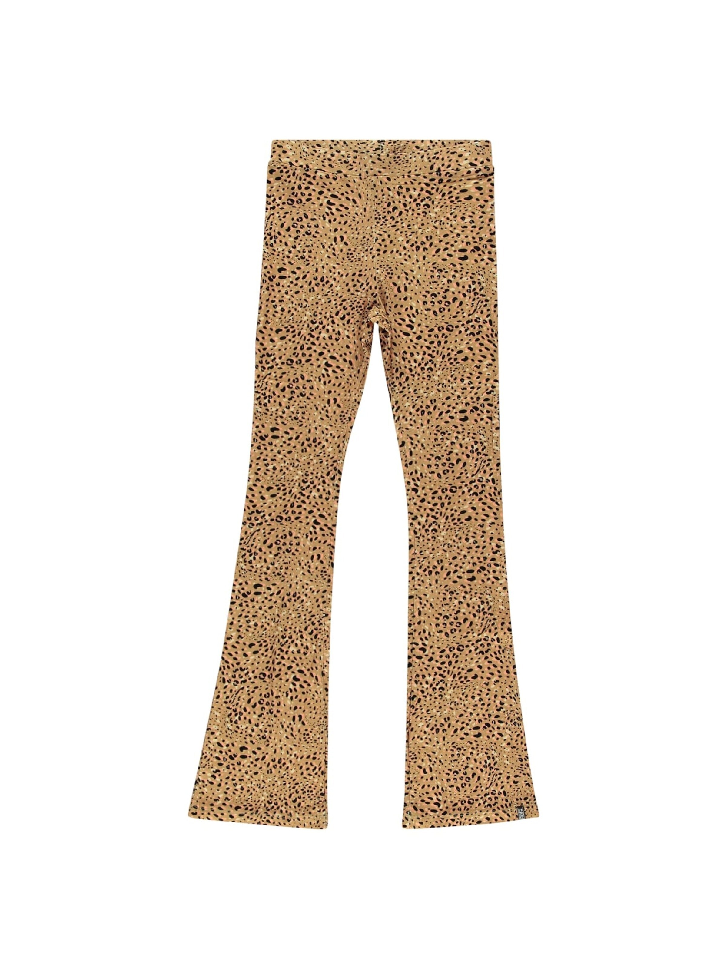 CARS Baggy Trousers in Brown: front
