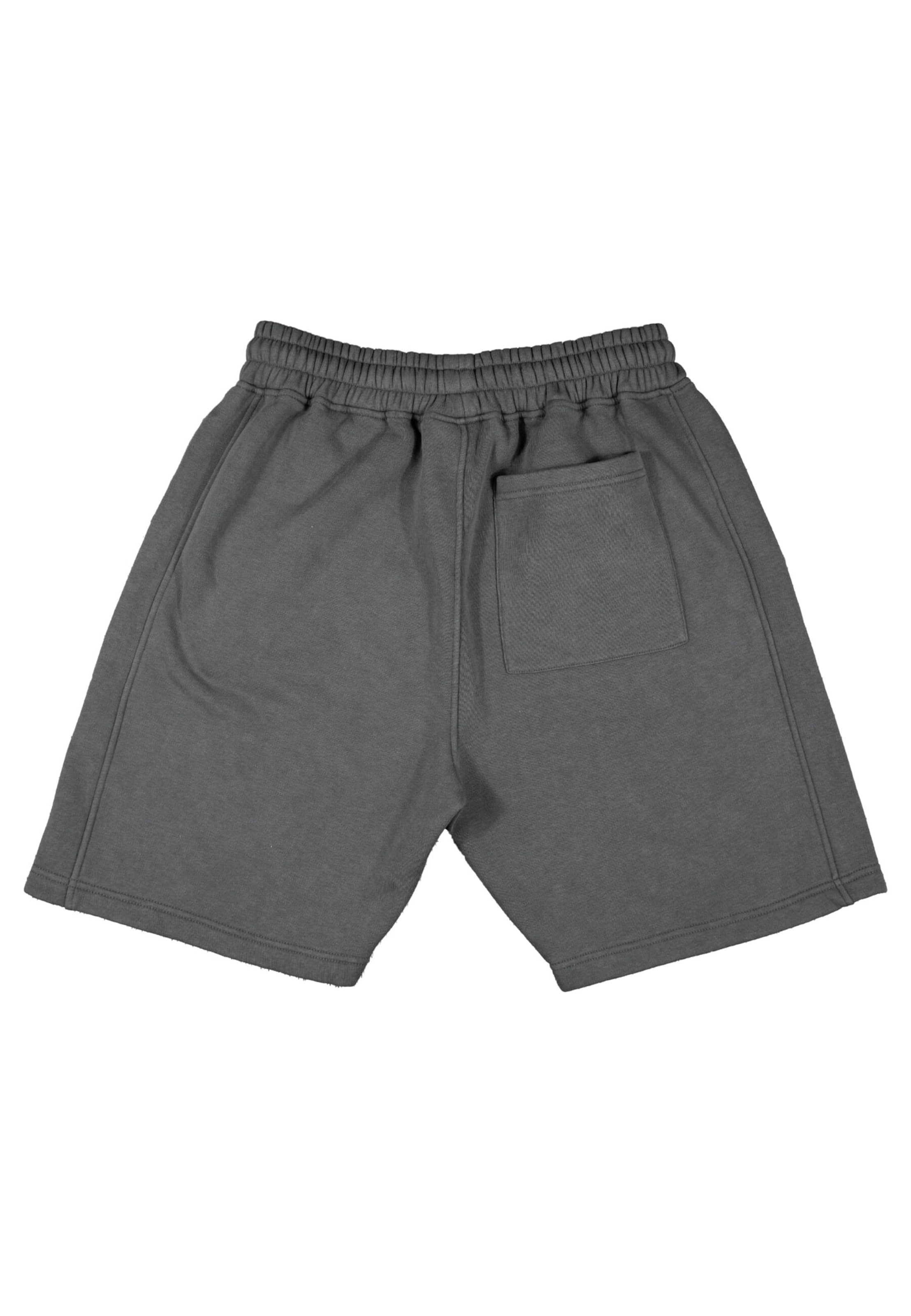 Prohibited Regular Sports trousers in Grey