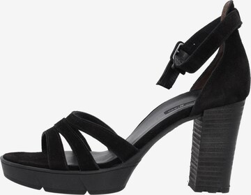 Paul Green Sandals '7930' in Black