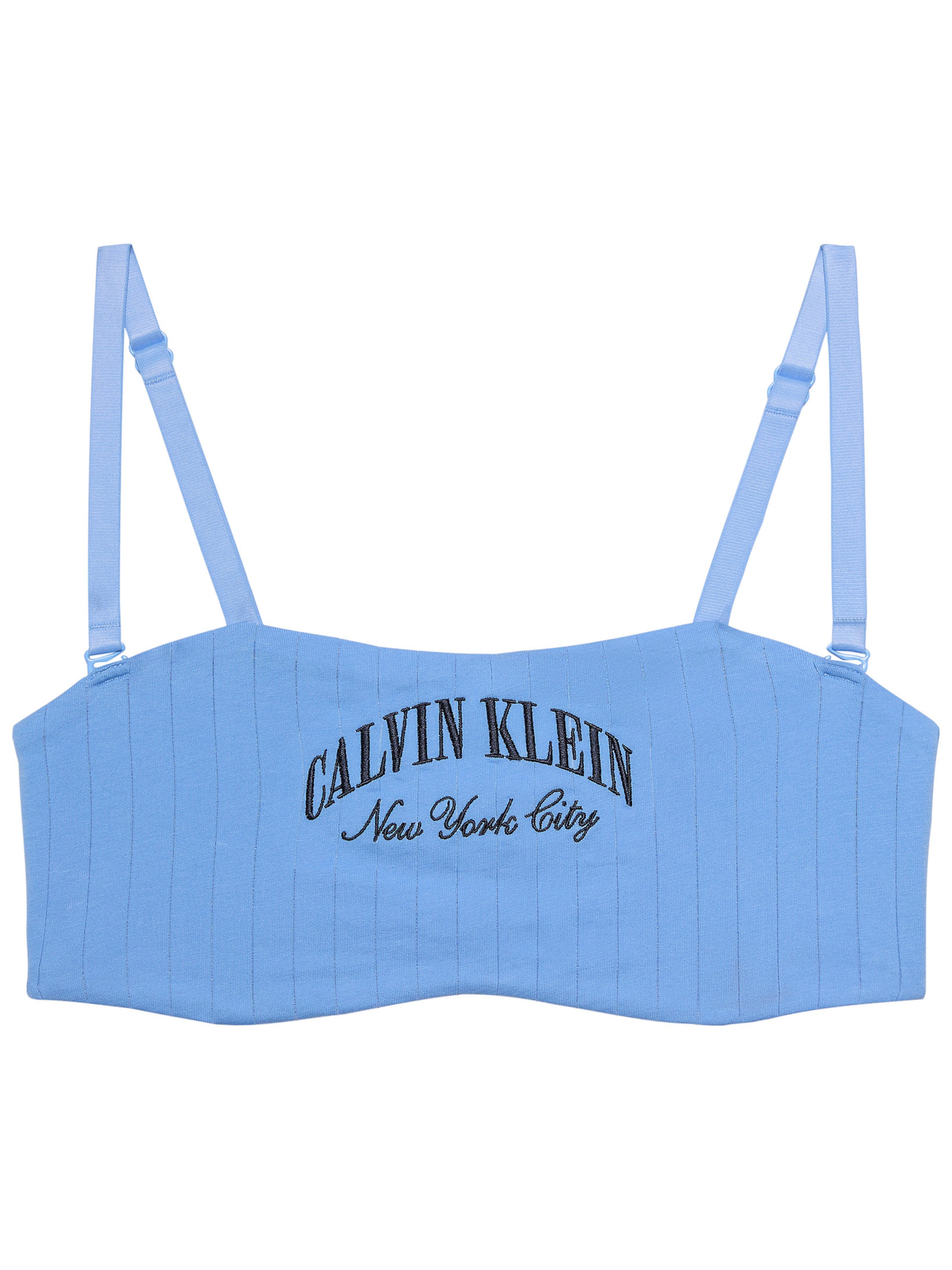 Calvin Klein Bandeau BH 'Heritage' in Blauw: voorkant
