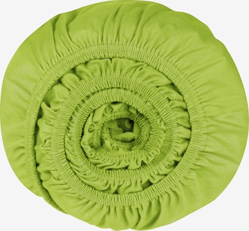 SCHIESSER Bed Sheet 'Jessi' in Green: front