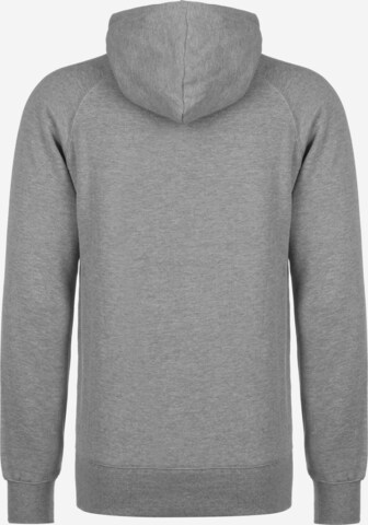 Bolzr Sweatshirt in Grau