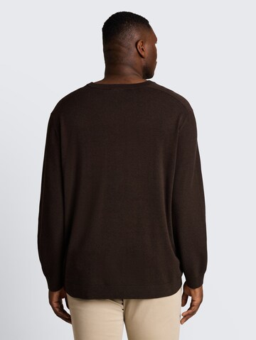TOM TAILOR Men + Trui in Bruin