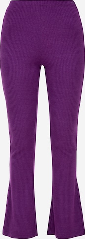 QS Pants in Purple: front