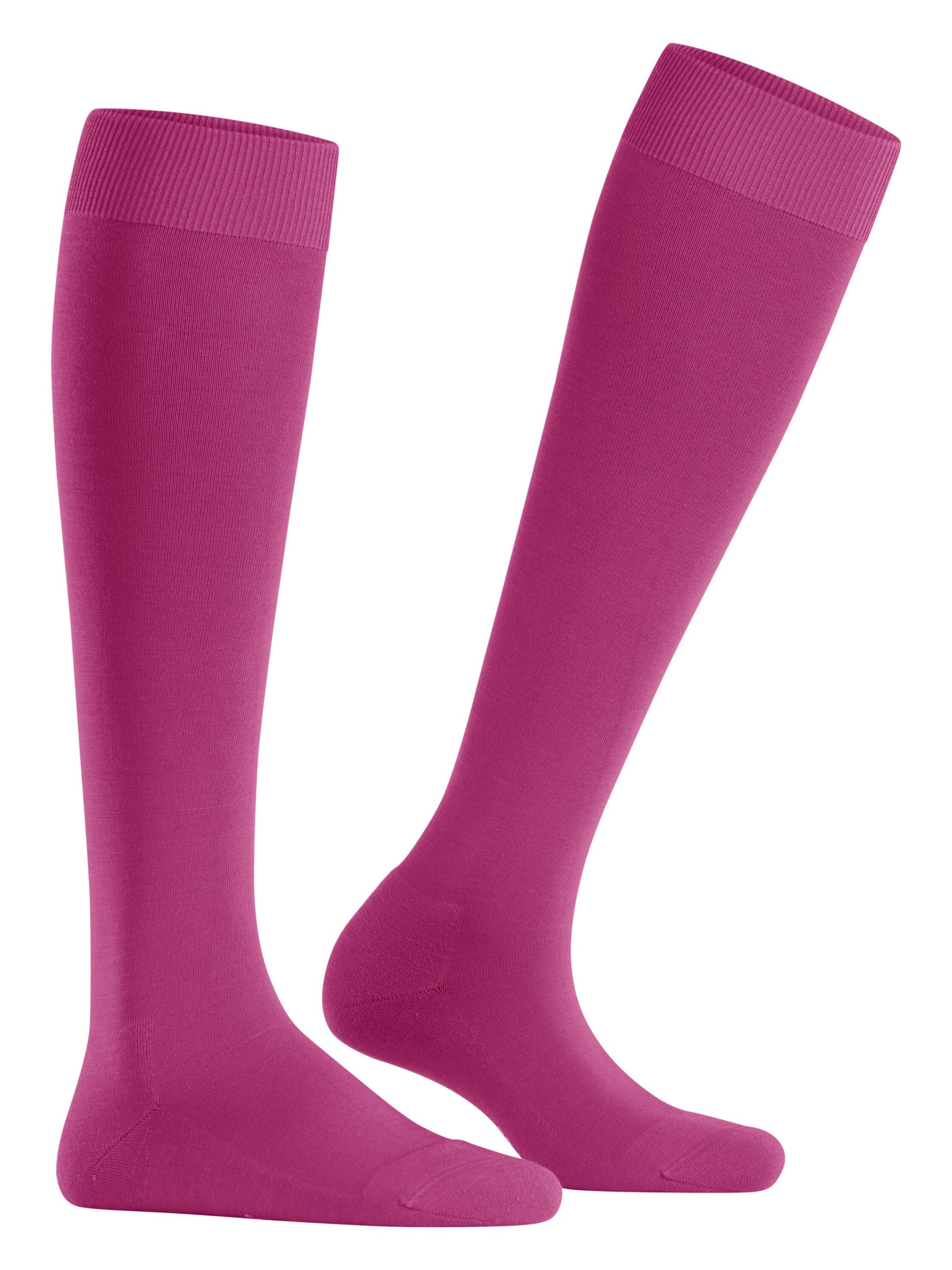 FALKE Knee High Socks 'ClimaWool' in Purple