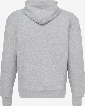 Mikon Sweatshirt 'Palme' in Grey