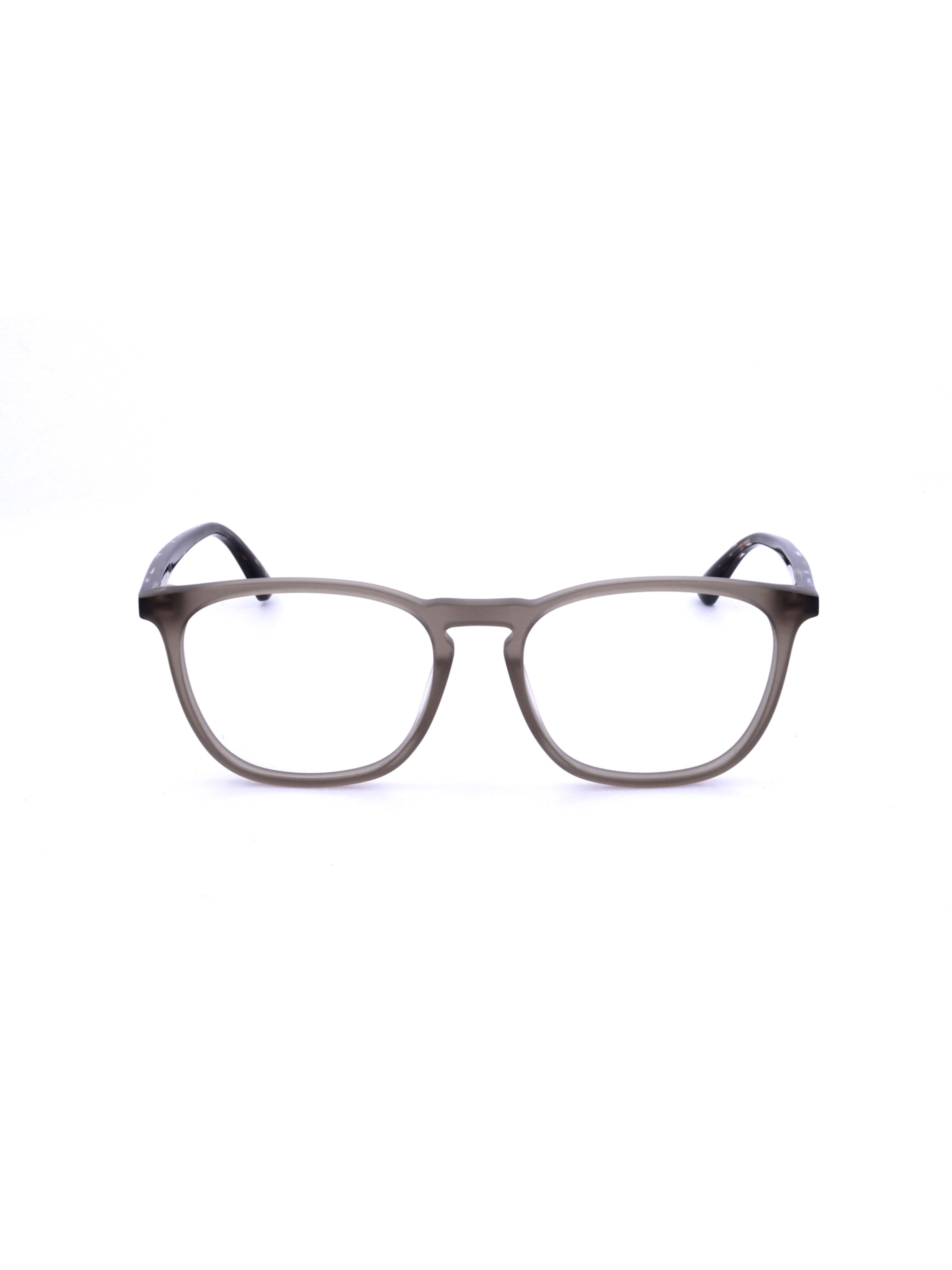 Occhiali 'WE5419' di Web Eyewear in grigio: frontale