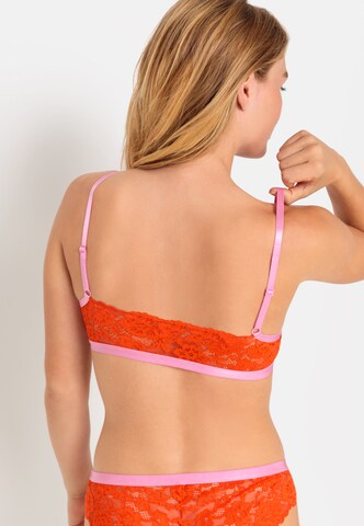 Bustino Reggiseno di LSCN by LASCANA in arancione