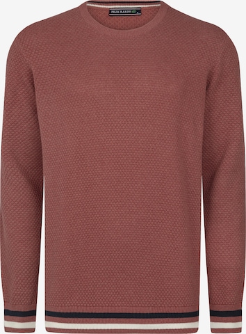 Pullover di Felix Hardy in rosa: frontale