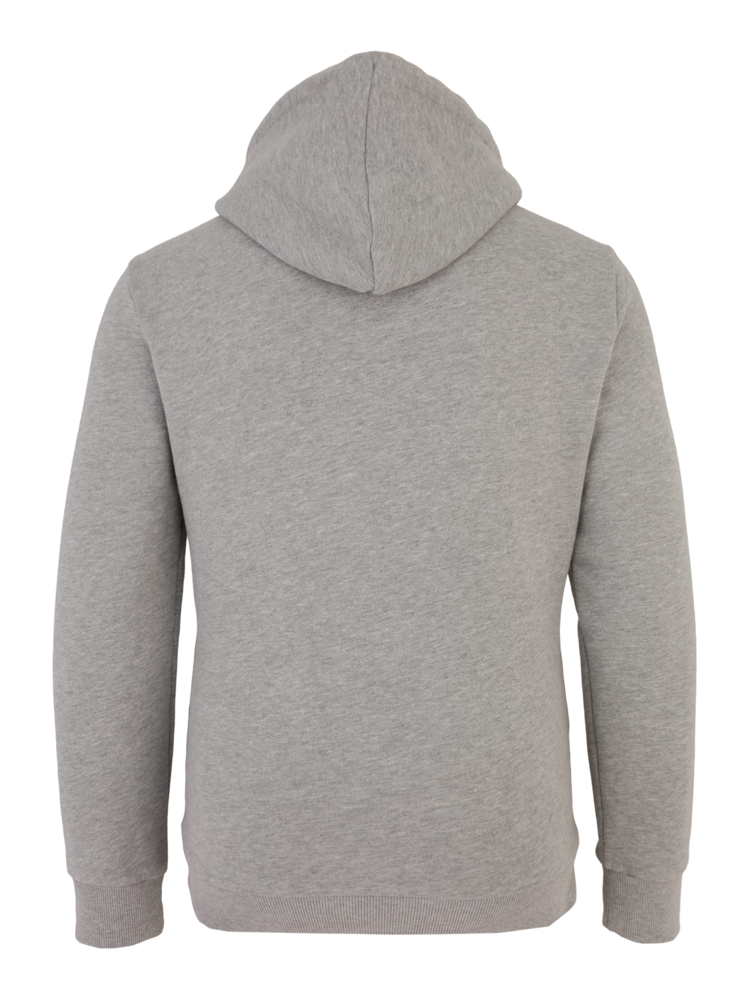 Felpa di Superdry & Co in grigio: dietro