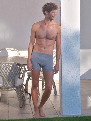 Boxers 'Helios prinstriped fly front boxer' zd ZERO DEFECTS en gris