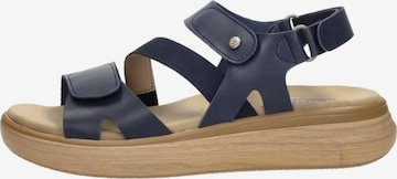 Wolky Sandaal 'Amara' in Blauw: voorkant