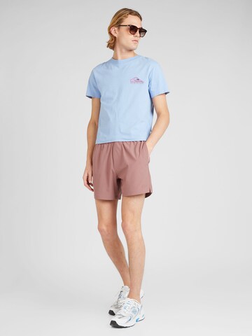 HOLLISTER Regular Shorts in Pink