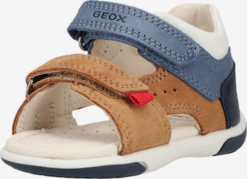 GEOX Sandale in Braun: Vorderseite