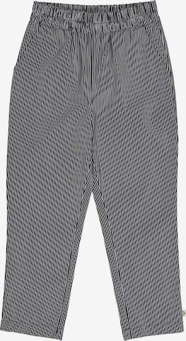 Regular Pantalon Müsli by GREEN COTTON en bleu : devant