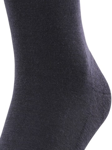 FALKE Knee High Socks 'Airport Plus' in Blue