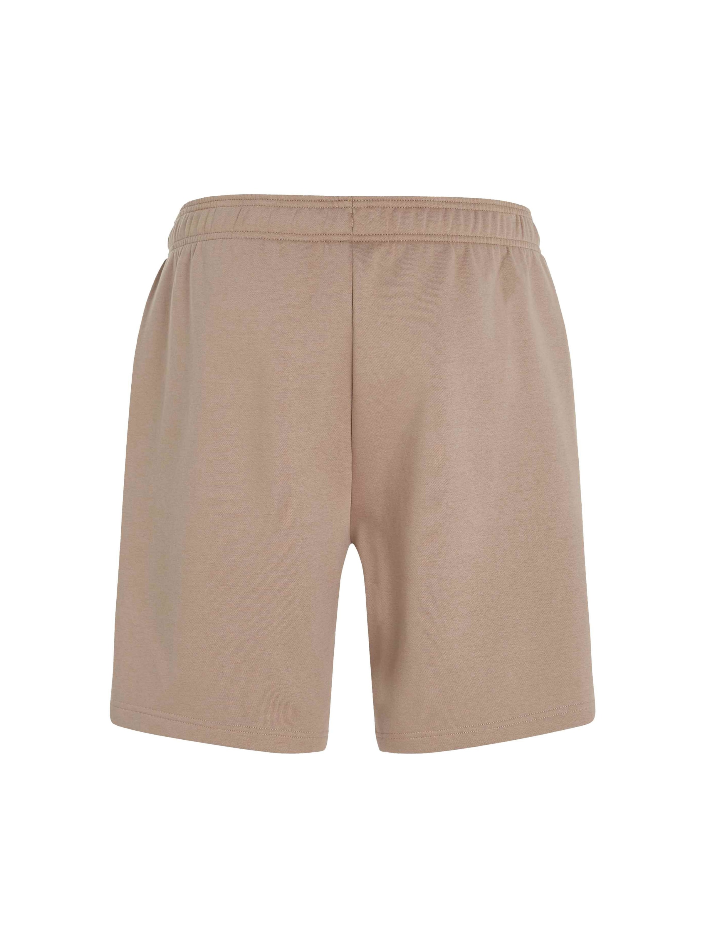 brūns O'NEILL Vaļīgs piegriezums Bikses 'Future Surf Society'