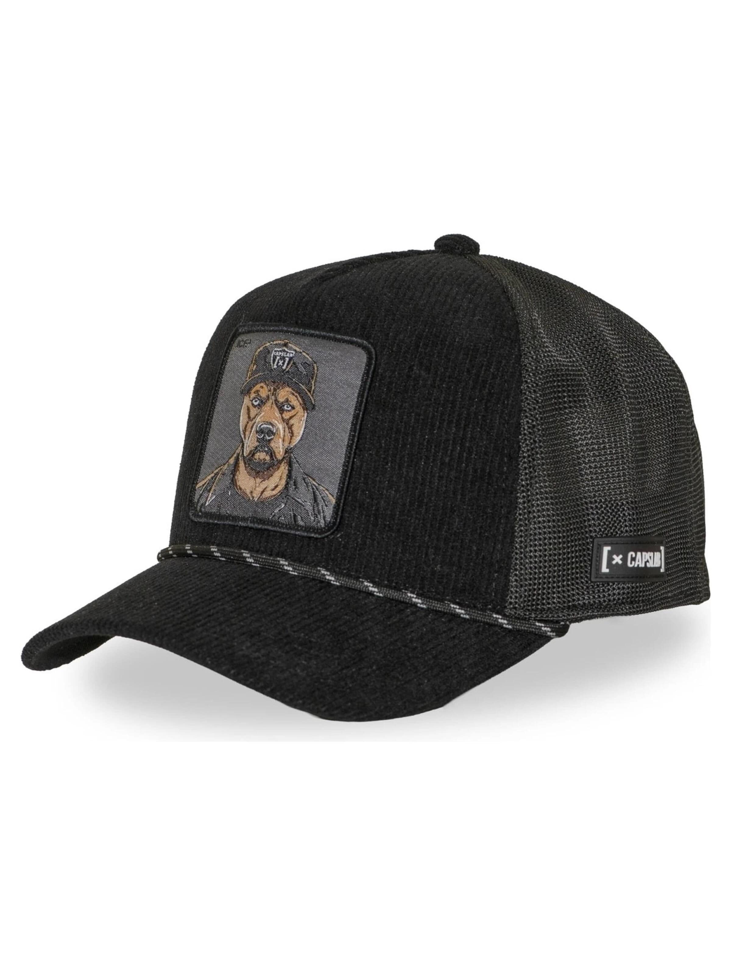 Capslab - Gorra 'Gorra capslab negra pana ice cube bad trucker cap' en negro