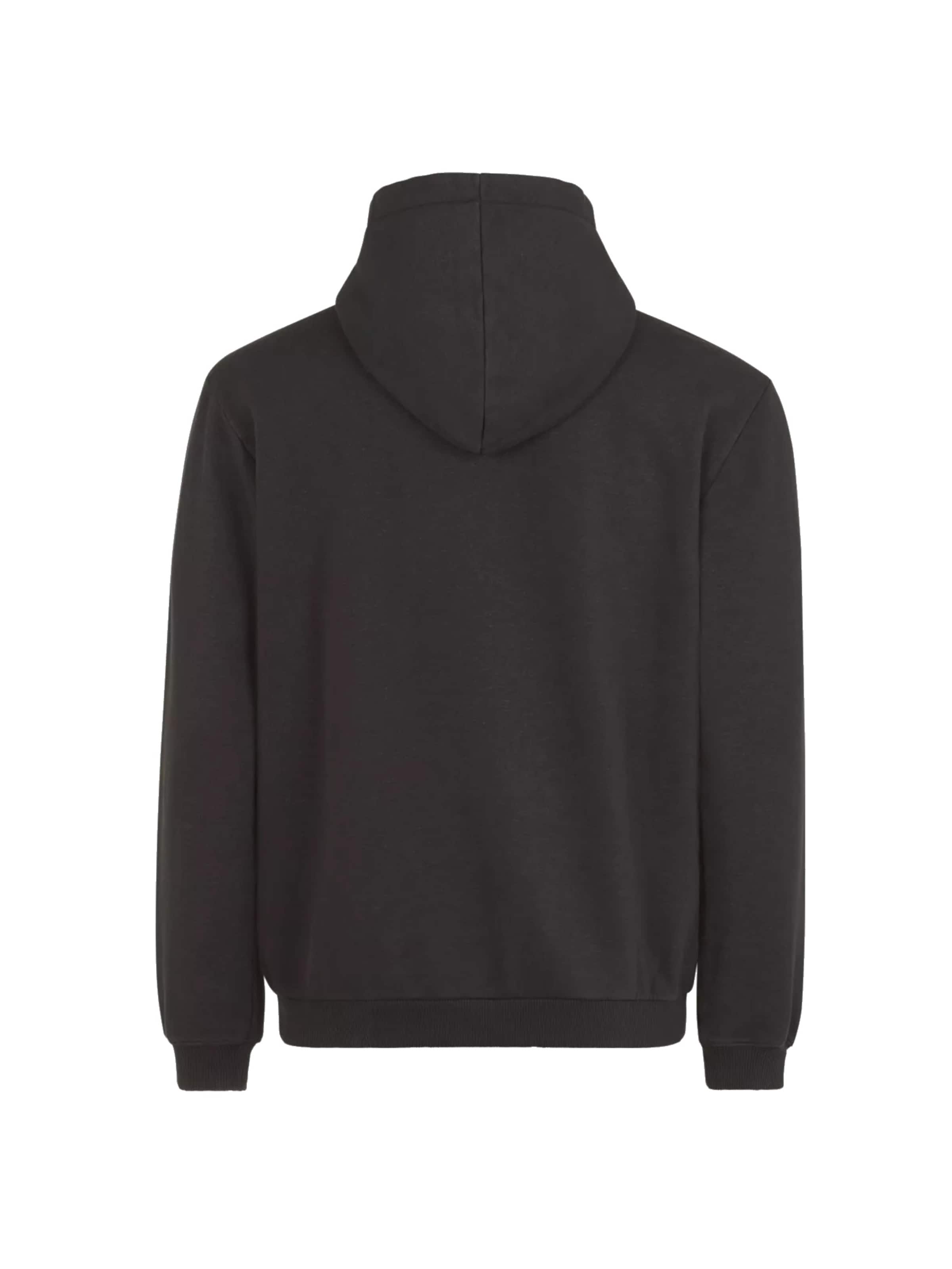 FILA Sweatshirt 'Fila Bischkek Hoody' in Black