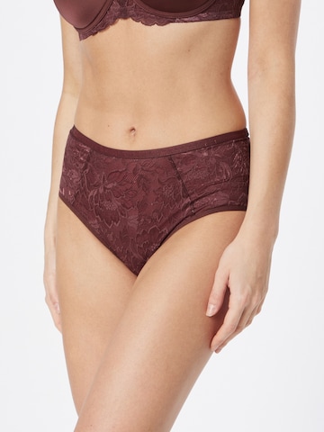 Culotte TRIUMPH en marron : devant