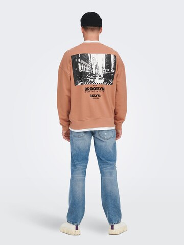 Only & Sons Sweatshirt 'Toby' in Braun