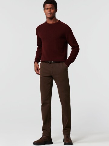 MEYER Regular Chino Pants in Brown