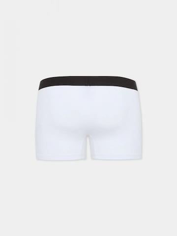 Pantaloncini intimi lunghi di DSQUARED2 in bianco